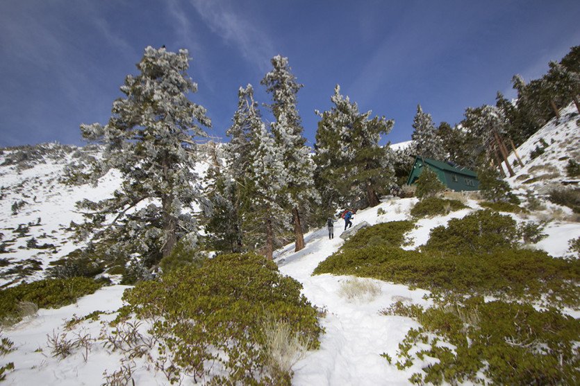 BaldyCB201412-1-3.jpg
