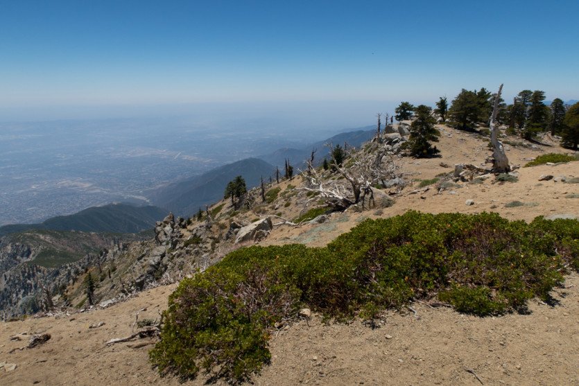 Cucamonga201506-1-16.jpg