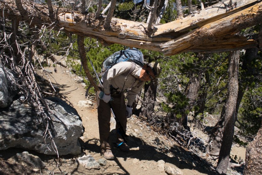 Cucamonga201506-1-6.jpg