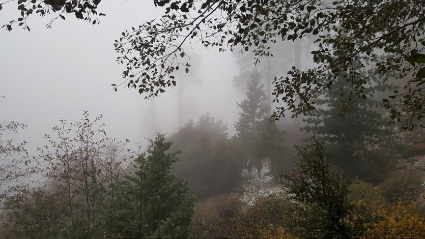20151115_133230.jpg