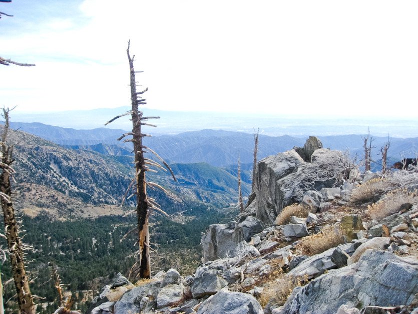 120129-18.jpg