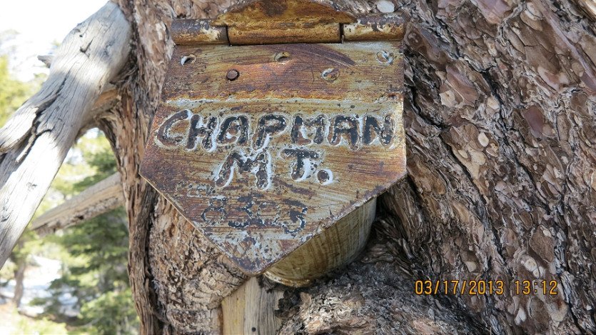 Chapman=Timber.JPG