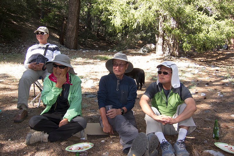 BaldyC201405-1-17.jpg