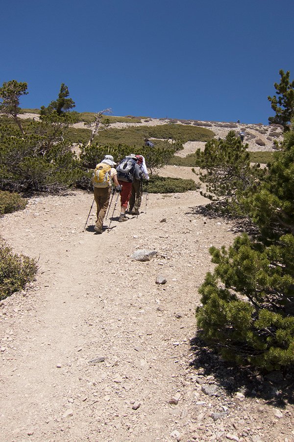 BaldyC201405-1-6.jpg