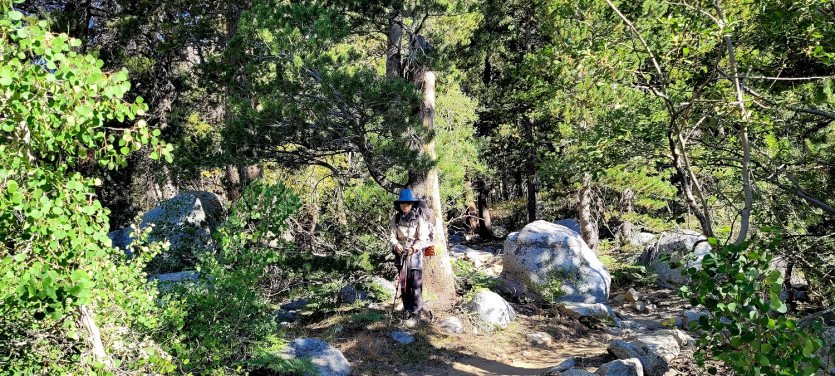 2021-JMT001 (277).jpg