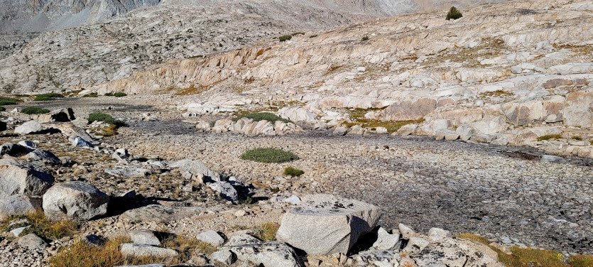 2021-JMT001 (333).jpg