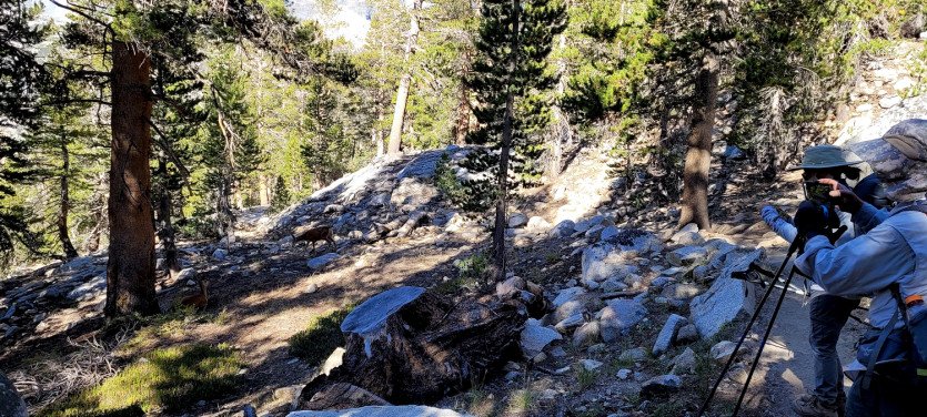 2021-JMT001 (364).jpg