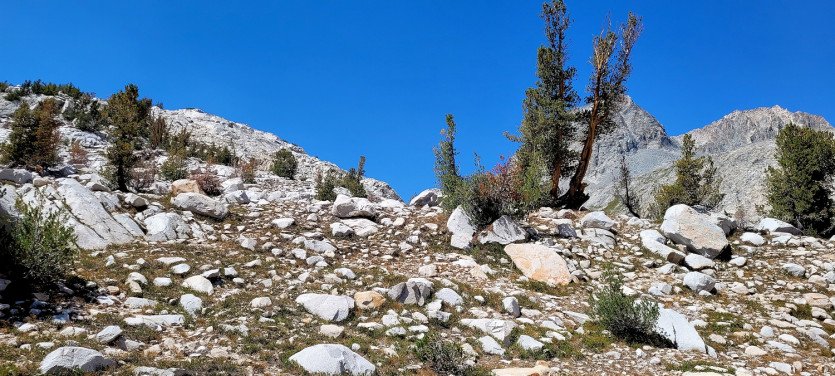2021-JMT001 (286).jpg