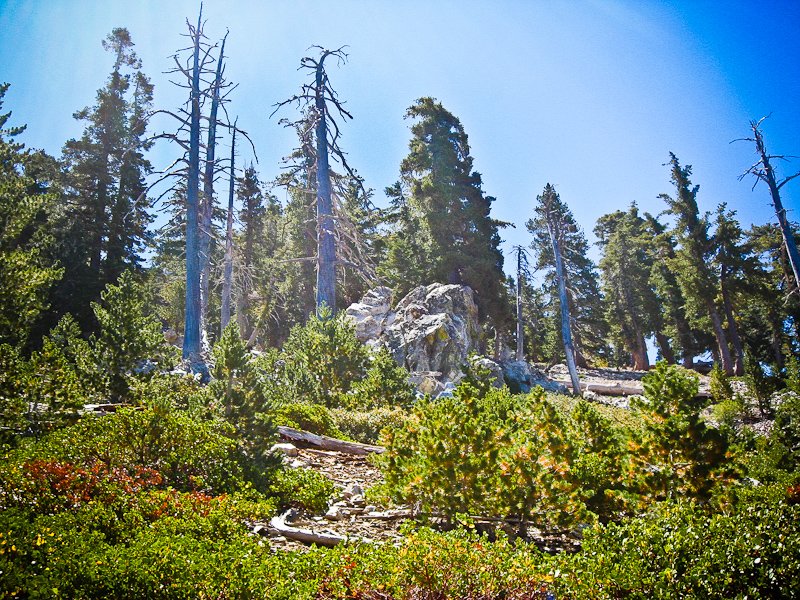 120805-02.jpg