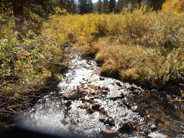 north lake 027.jpg