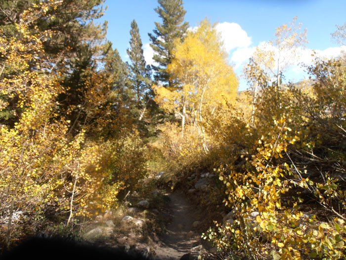 north lake 160.jpg