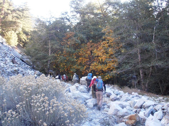 timber mt 031.jpg