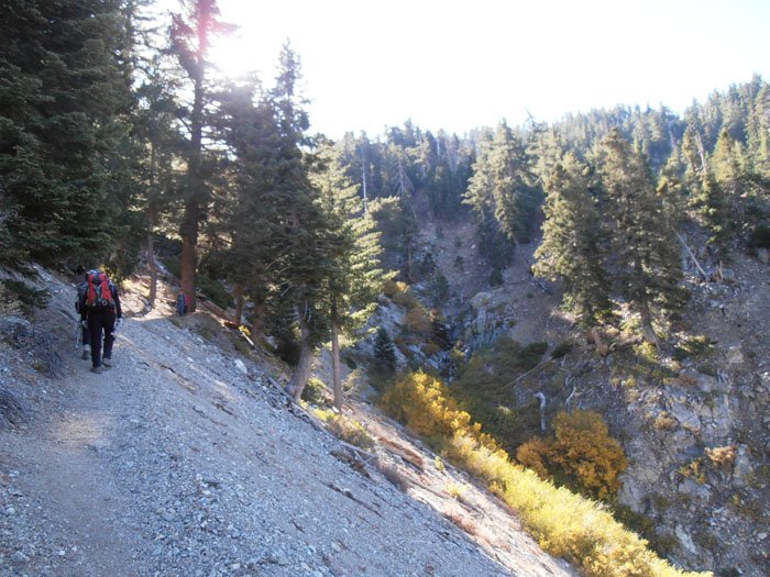 timber mt 040.jpg
