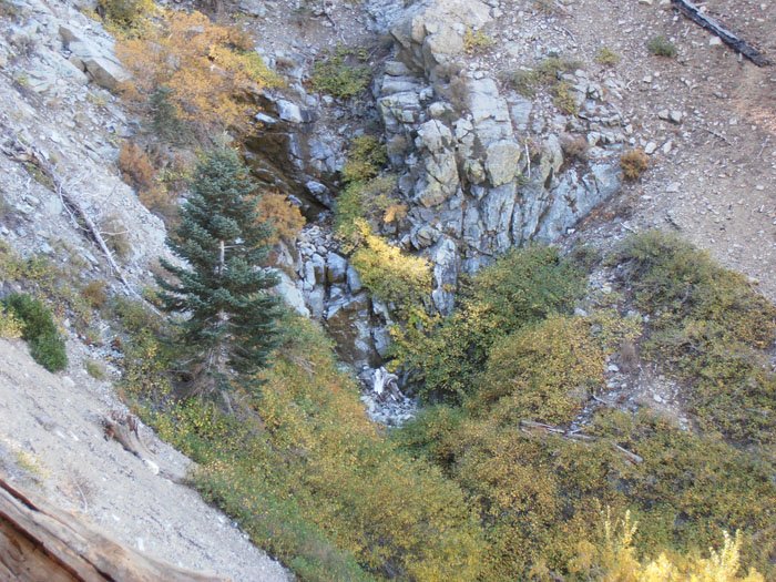 timber mt 041.jpg