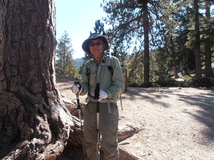 timber mt 043.jpg