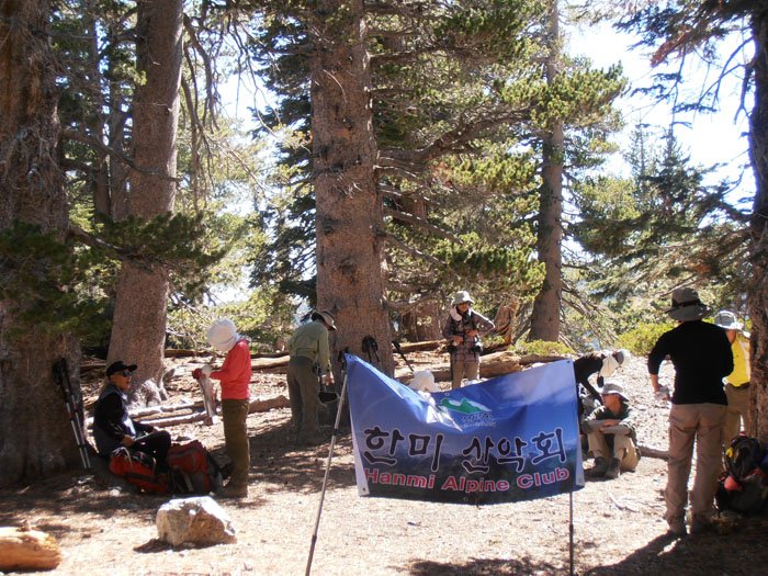 timber mt 045.jpg