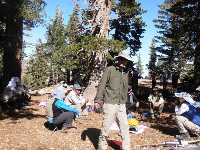 timber mt 055.jpg