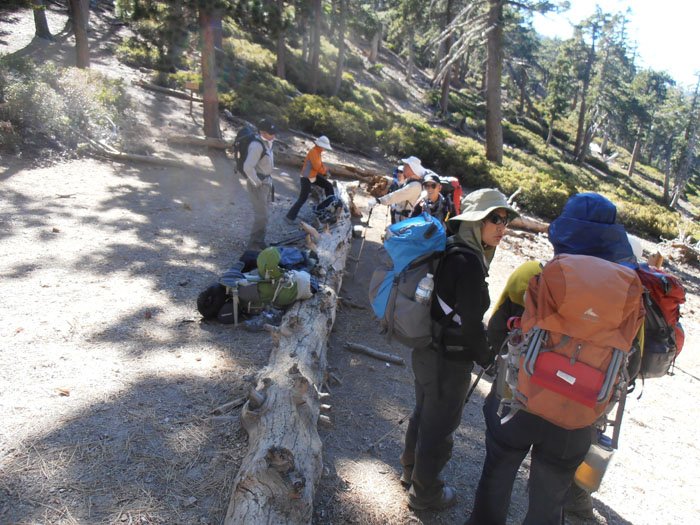 timber mt 060.jpg