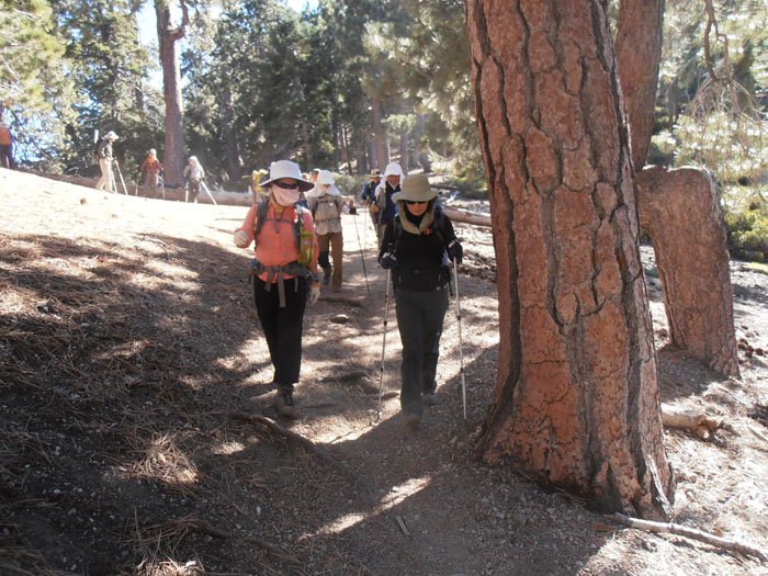 timber mt 065.jpg