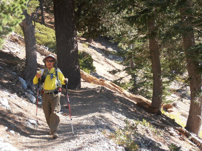 timber mt 069.jpg