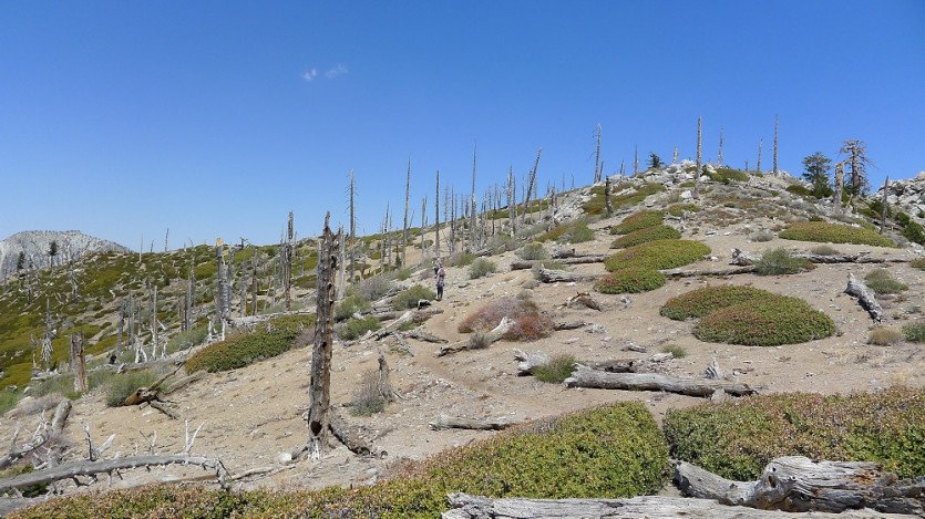 L1060991.JPG