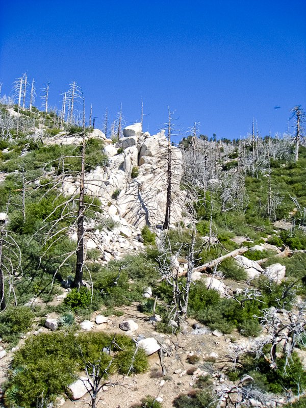 1204222-06.jpg