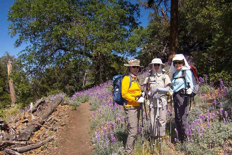 MomyerC201406-1-16.jpg