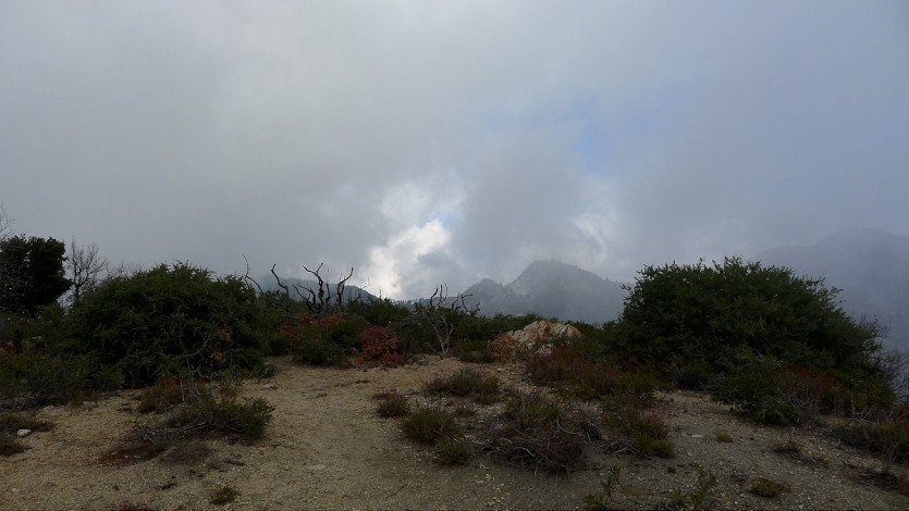 L1110286.JPG
