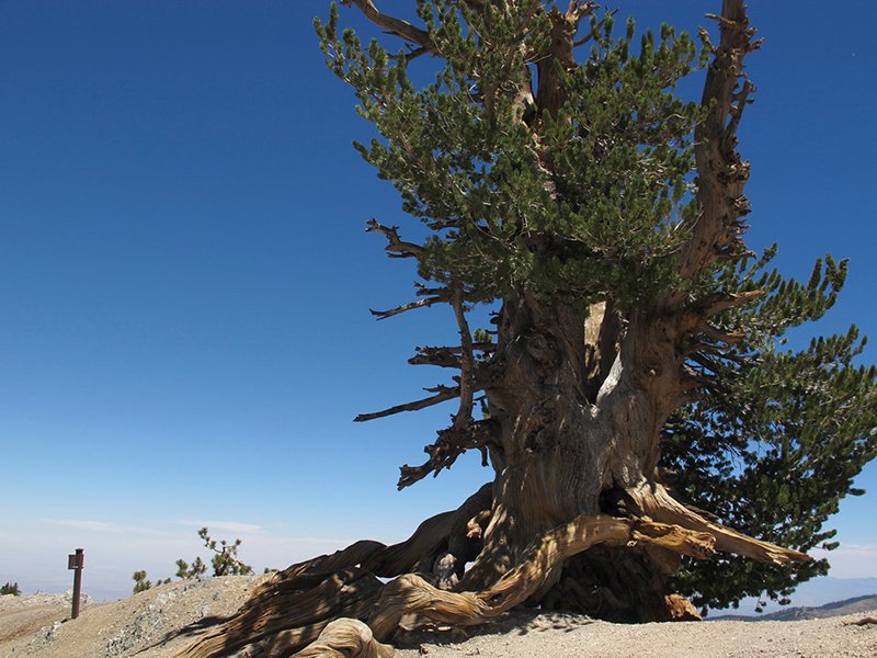 BPccIMG_0078.jpg