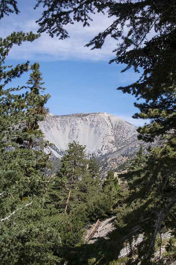 CucamongaPkC201406-1-4.jpg