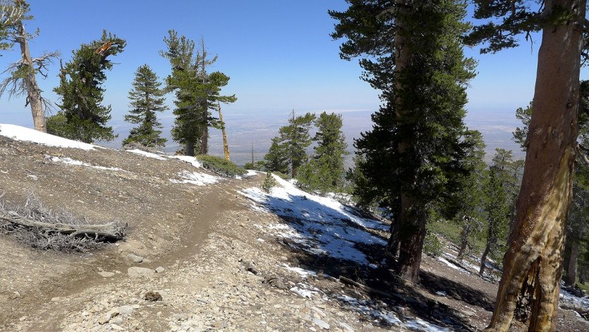 L1100524.JPG