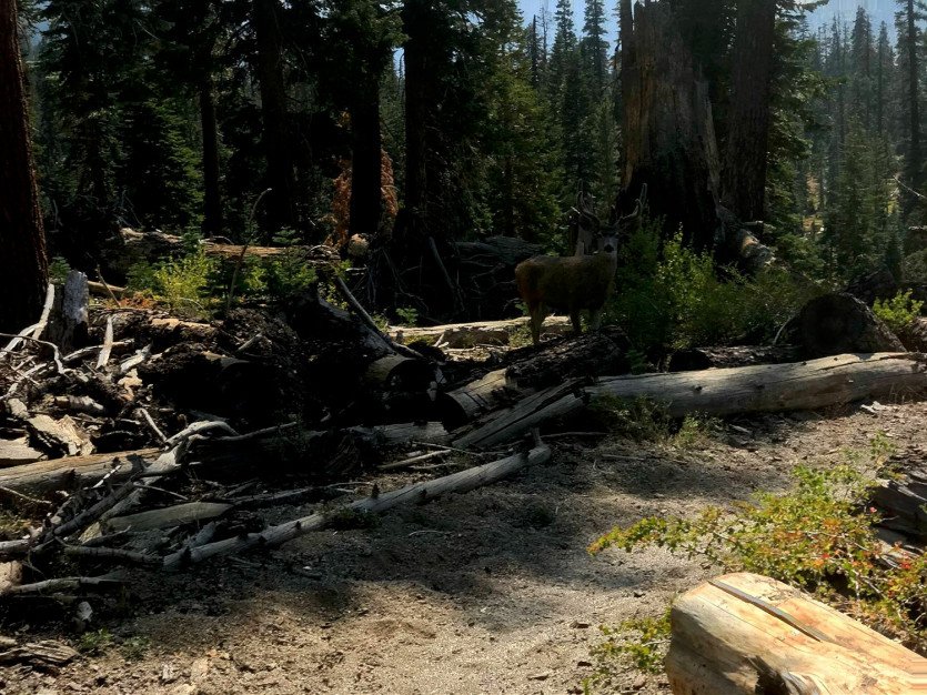 2021-JMT001 (626).jpg