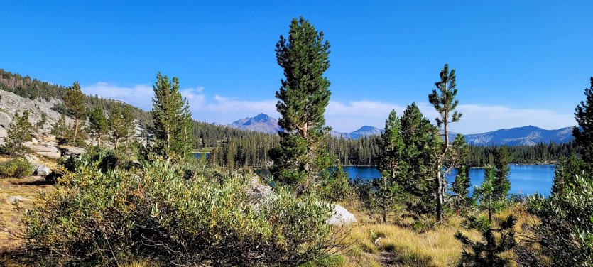 2021-JMT001 (453).jpg
