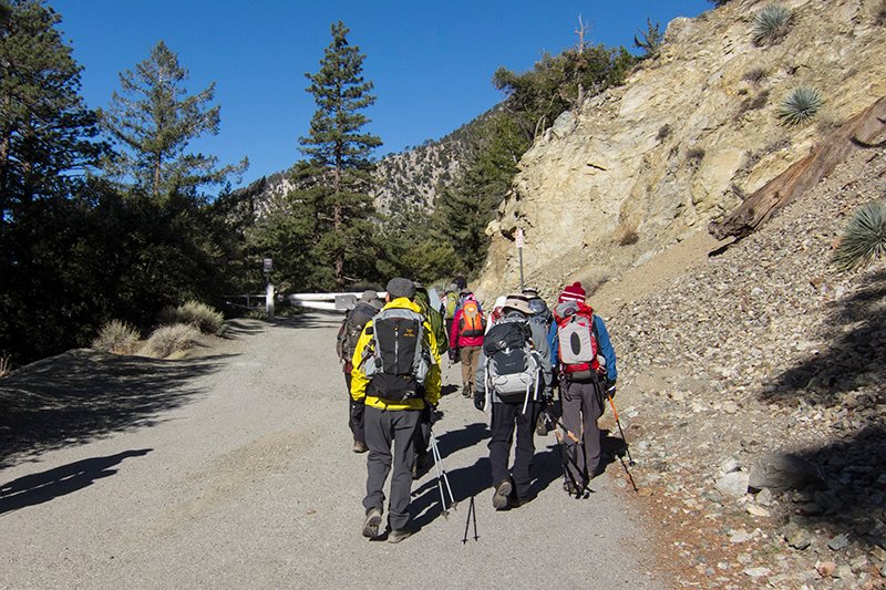 Boldylc20140406b-1-2.jpg