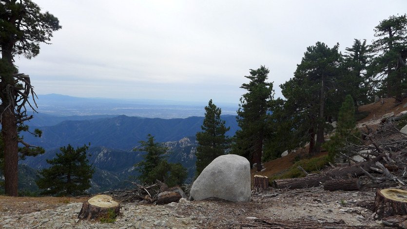 L1110364.JPG
