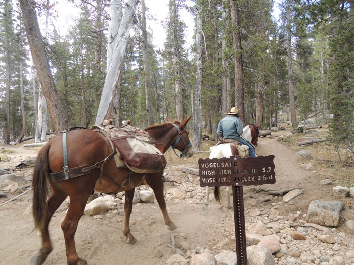 JMT yosemite 마지막 126.jpg