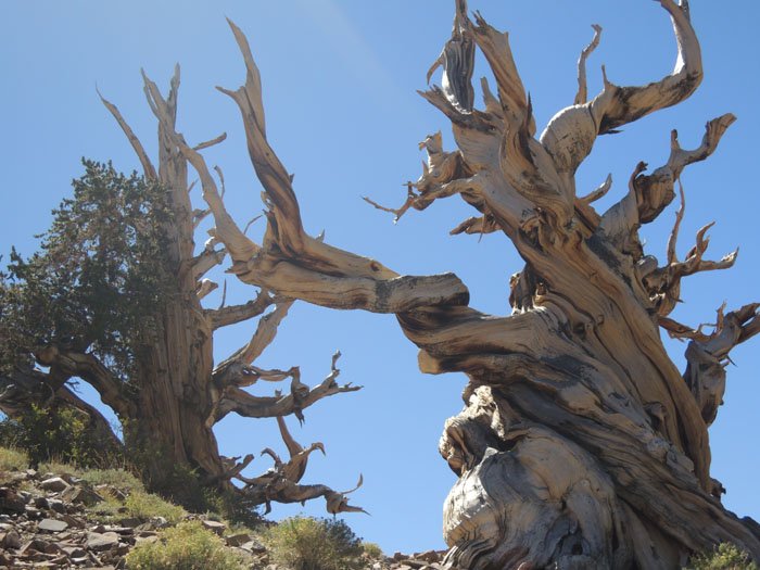 JMT yosemite 마지막 204.jpg