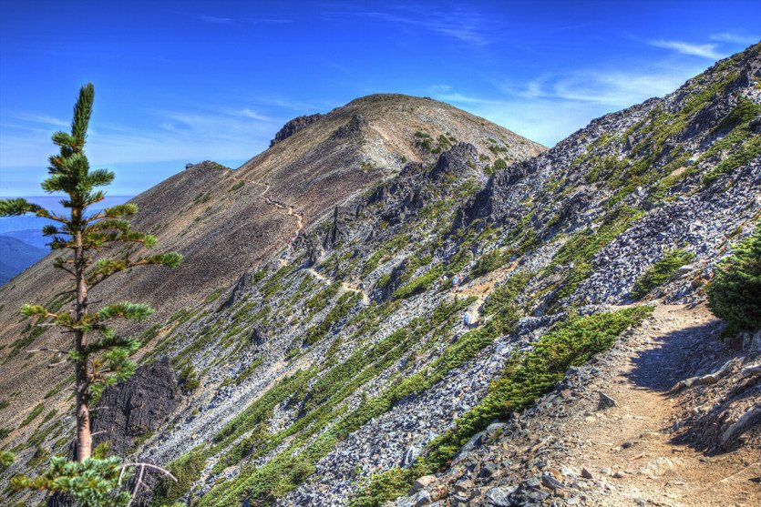 06 Mt Fremont.jpg