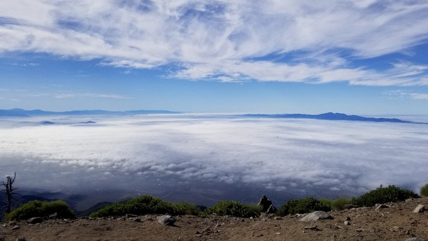 20190818_090213.jpg