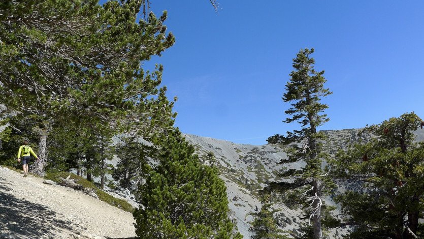L1100341.JPG