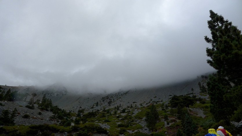 L1090044.JPG