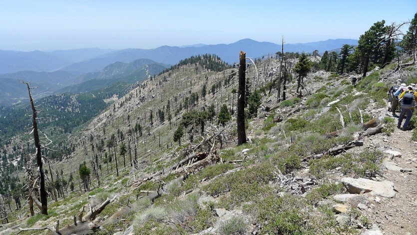 L1100964.JPG