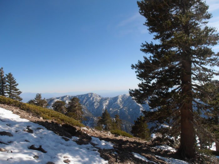 baldy12월 048.jpg