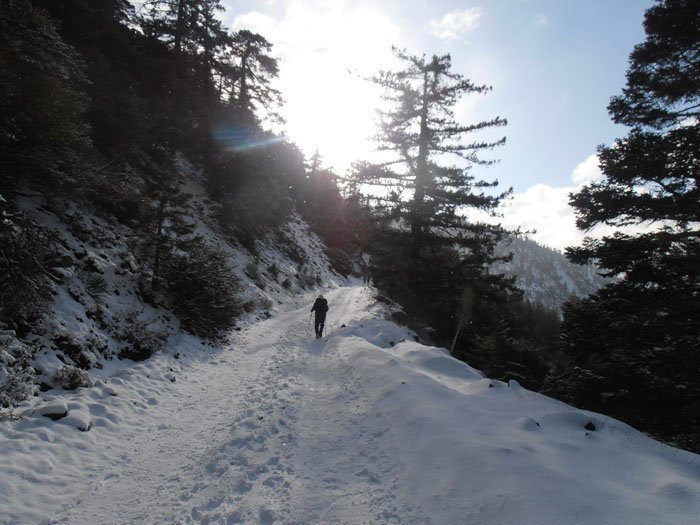 baldy12월 049.jpg