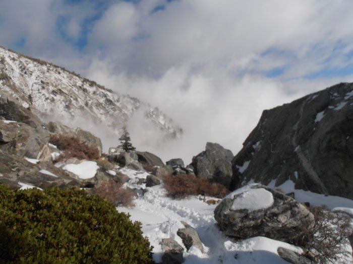 baldy12월 057.jpg