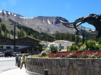 IMG_3694.JPG