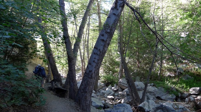 L1060069.JPG
