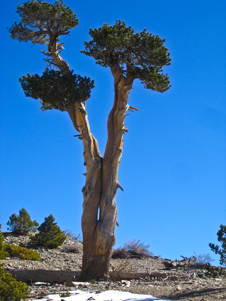 120205-10.jpg