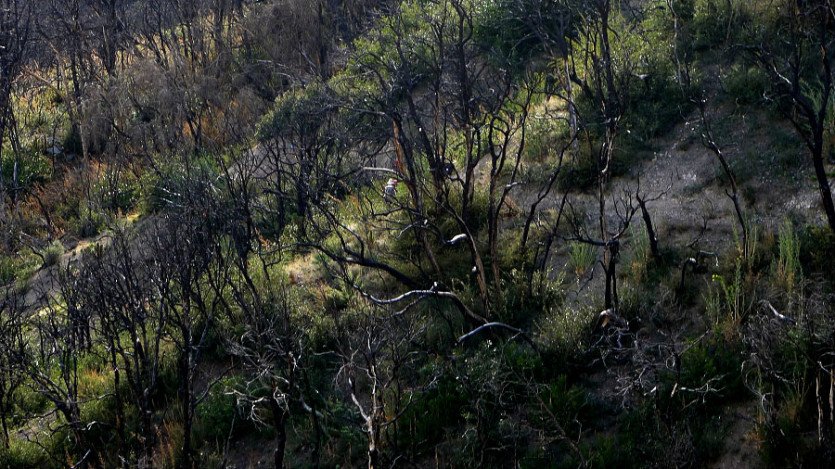 L1040324.JPG
