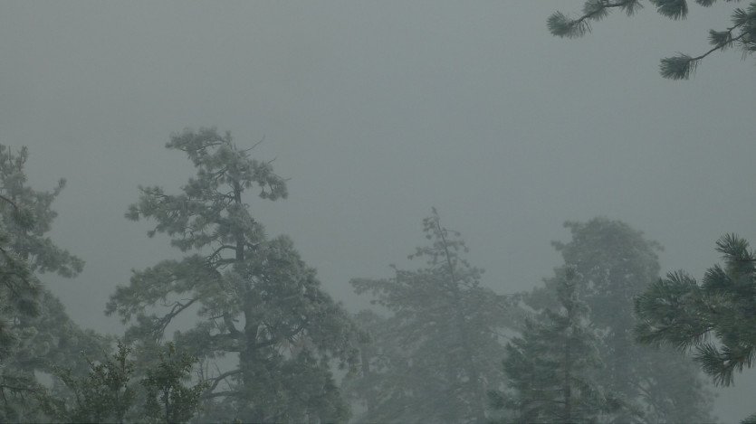 L1030864.JPG